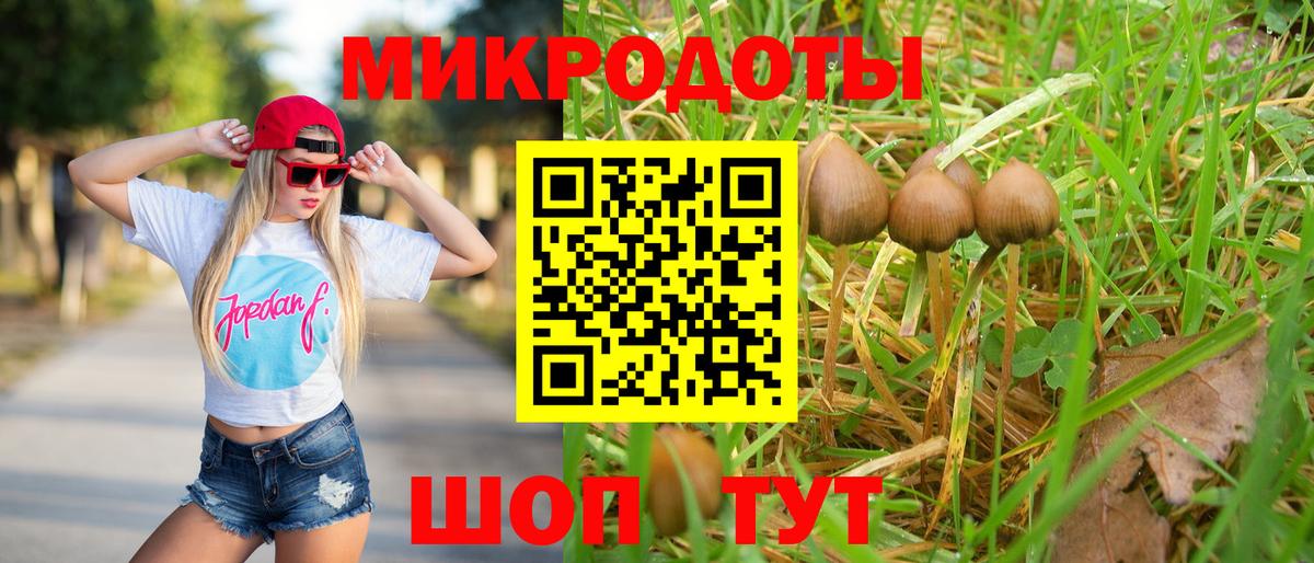 Псилоцибиновые грибы Psilocybine cubensis Тимашёвск
