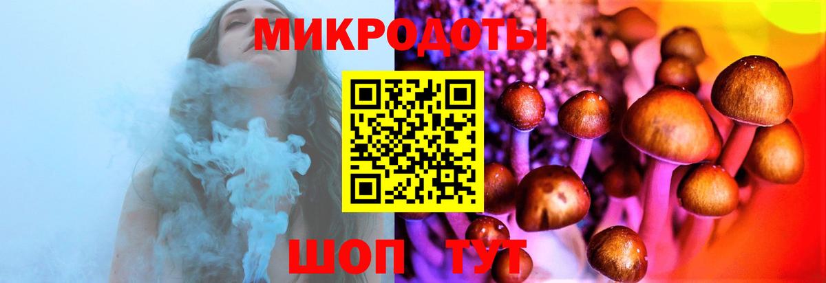 Тимашёвск  Псилоцибиновые грибы Magic Shrooms  Вход с VPN 